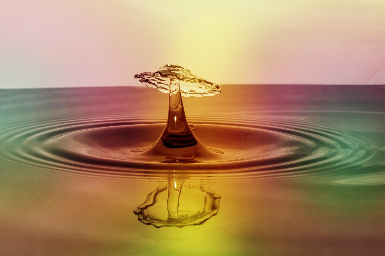 Image by Wolfgang Claussen from Pixabay
